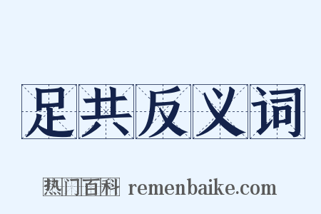 足共反义词是什么意思的图片